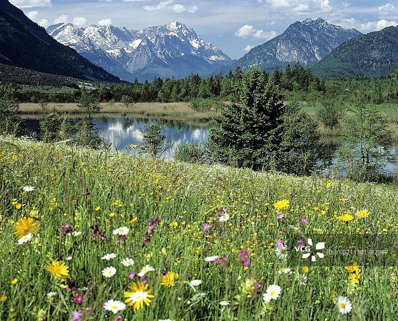 春季草甸山景，七泉，荒地，埃申洛厄附近，洛伊萨赫山谷，米尔巴赫，上巴伐利亚，巴伐利亚，德国，欧洲图片素材