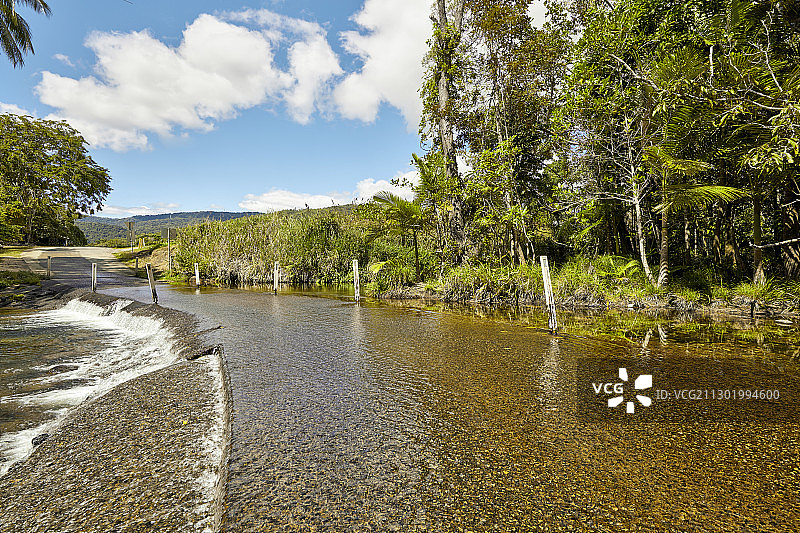 森林沟壑中的水道图片素材