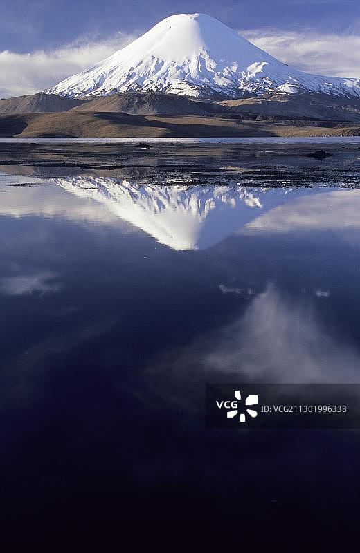 智利劳卡国家公园帕里纳科塔火山与琼加拉湖图片素材