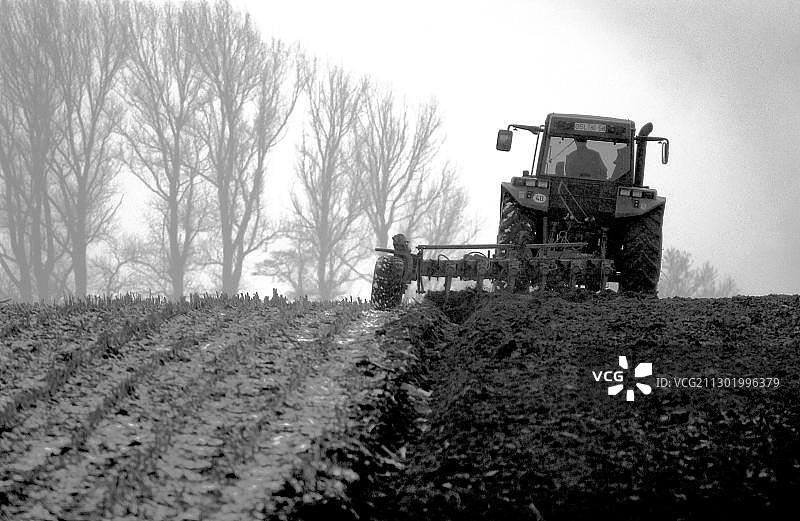 农业：雾中的春耕图片素材