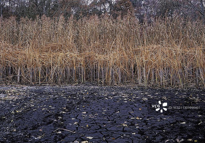 德国梅克伦堡-前波美拉尼亚州风光图片素材
