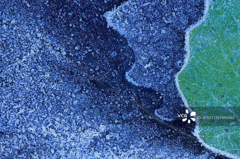 秋叶上的白霜图片素材