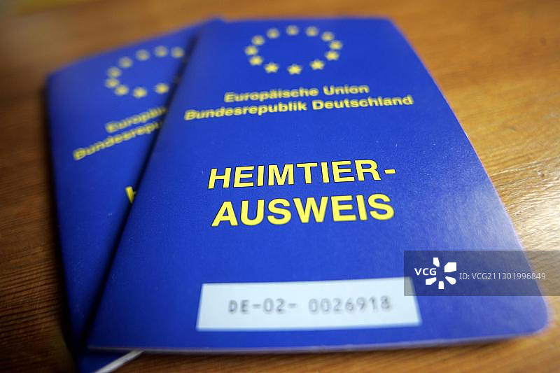 欧盟宠物旅行护照图片素材