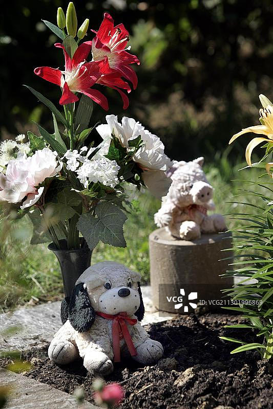 科恩韦斯heim动物墓地，巴登-符腾堡州，德国，欧洲图片素材