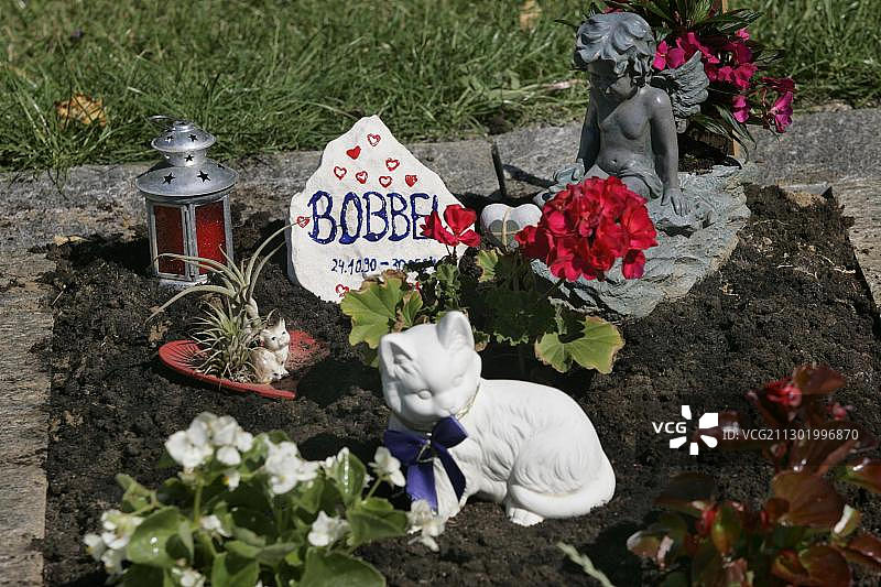 科恩韦斯heim动物墓地，巴登-符腾堡州，德国，欧洲图片素材