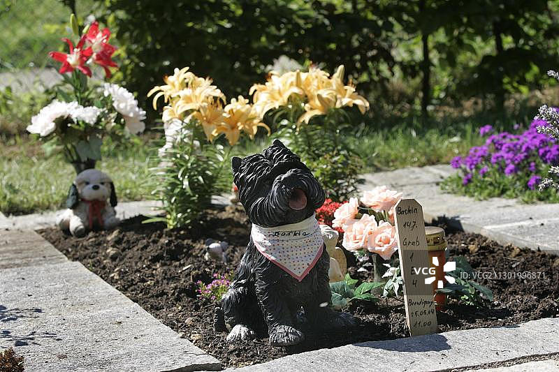 科恩韦斯heim动物墓地，巴登-符腾堡州，德国，欧洲图片素材