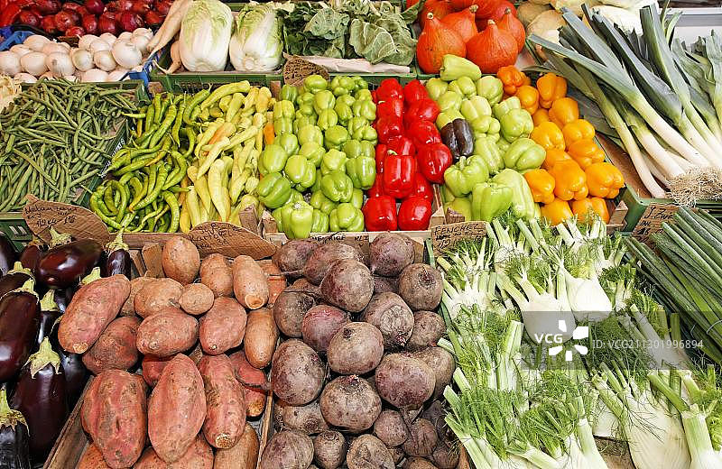 各种蔬菜图片素材