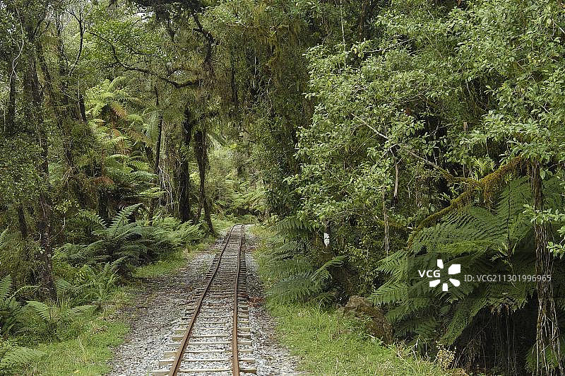 新西兰帕帕罗瓦国家公园尼罗河步道：雨林中的窄轨铁路图片素材
