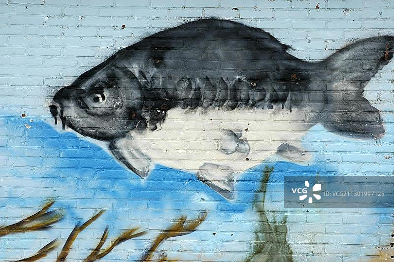 荷兰卡特wijk aan Zee的砖墙壁画：海中游动的鱼图片素材