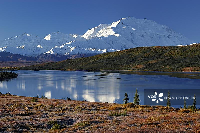 德纳里国家公园的秋天，德纳里山就像美国阿拉斯加州的魔术湖图片素材