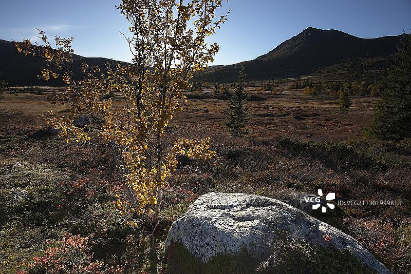 挪威布斯克吕郡的秋季风景图片素材