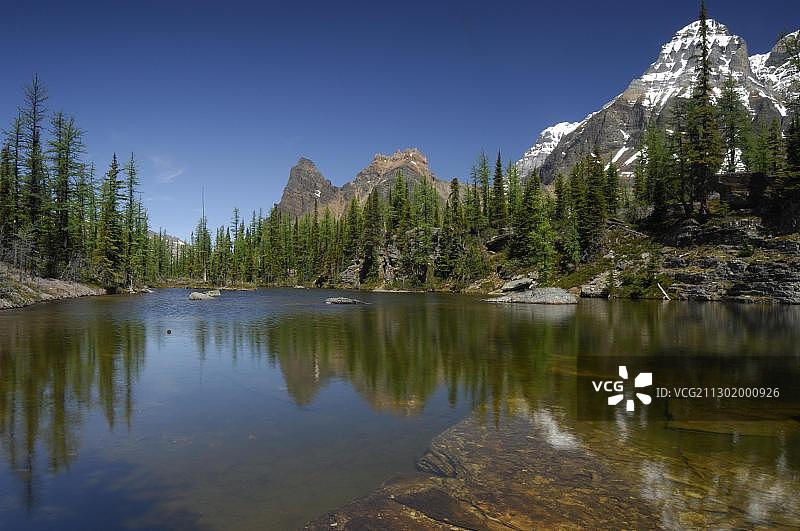 加拿大落基山脉欧哈拉湖的奥帕宾高原 - 优鹤国家公园，加拿大不列颠哥伦比亚省，北美洲图片素材
