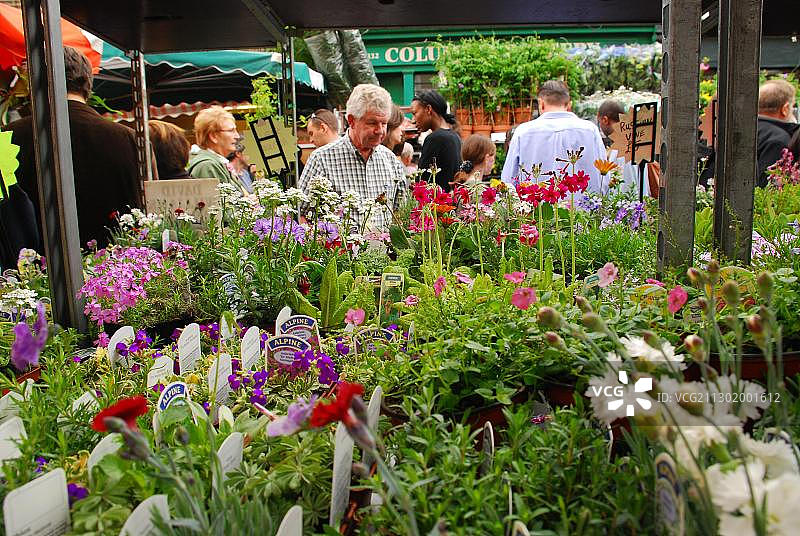 英国伦敦哥伦比亚路花卉市场图片素材