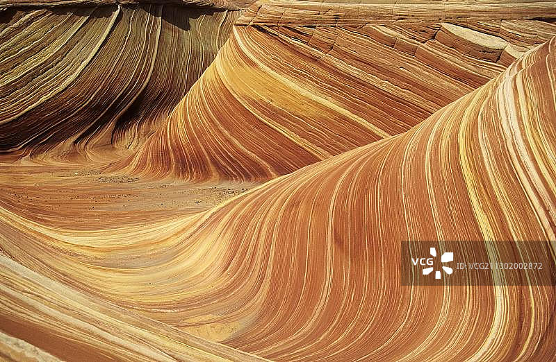 美国亚利桑那州帕里亚荒野“The Wave”中的砂岩地层图片素材