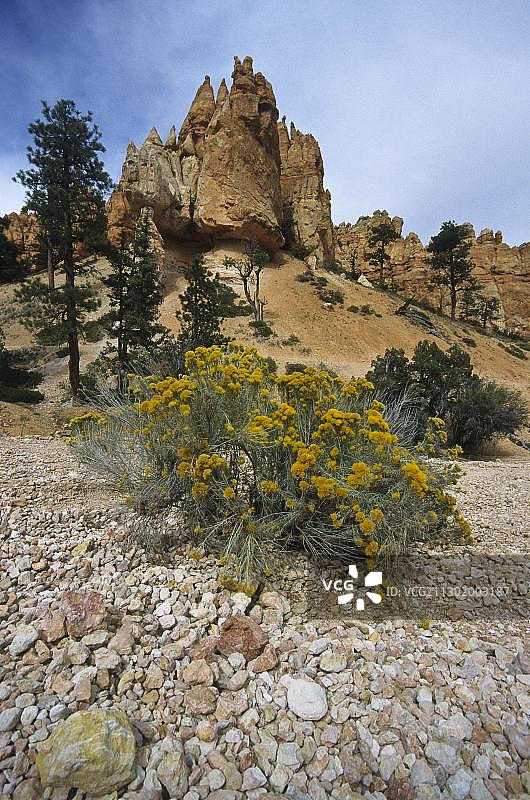 美国犹他州圆顶礁国家公园的岩石金字塔“城堡”图片素材