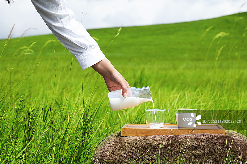 草原上从奶瓶里往出倒牛奶图片素材