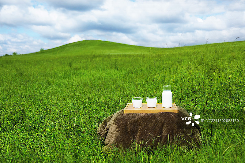 翠绿草原上的牛奶瓶与牛奶杯静物图片素材