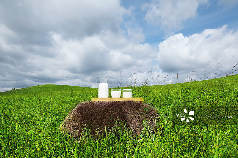 翠绿草原上的牛奶瓶与牛奶杯静物图片素材