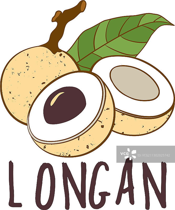 白色背景上的龙眼水果标志图片素材
