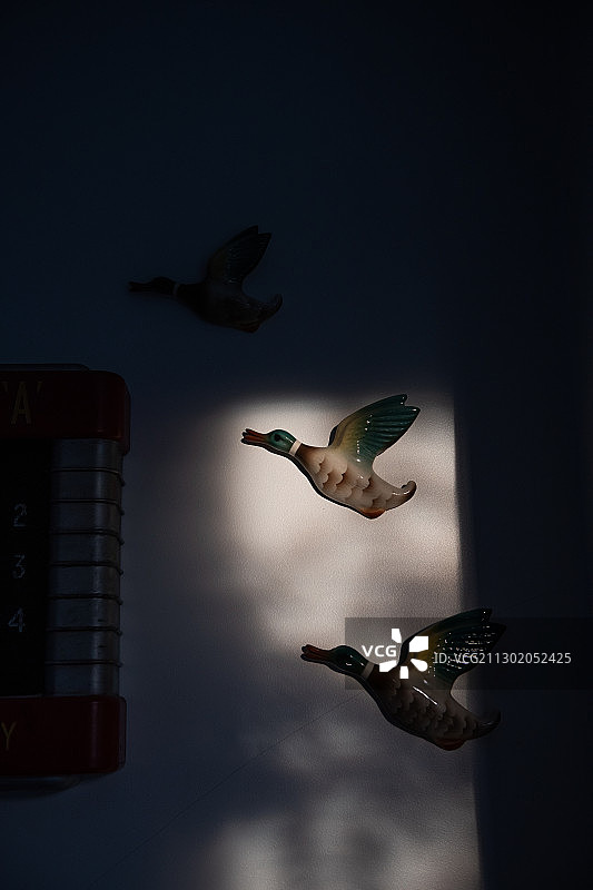 墙上的飞鸭图片素材