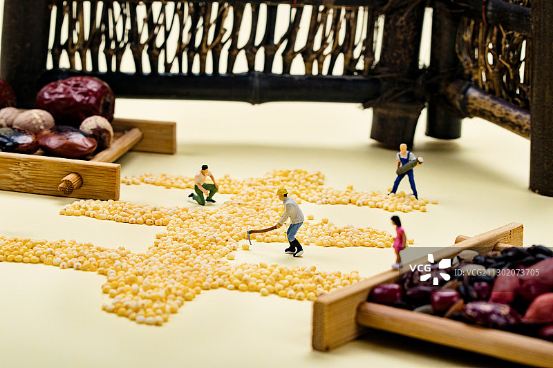 金秋五谷丰收大米摆成丰字劳作的农民图片素材