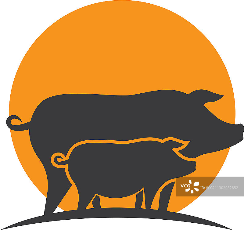 小猪标志图片素材