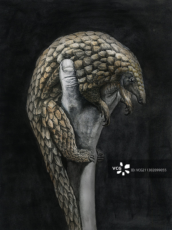 别狩猎的野生动物图片素材