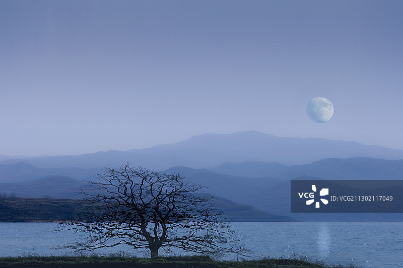 野旷天低树，江清月近人。图片素材