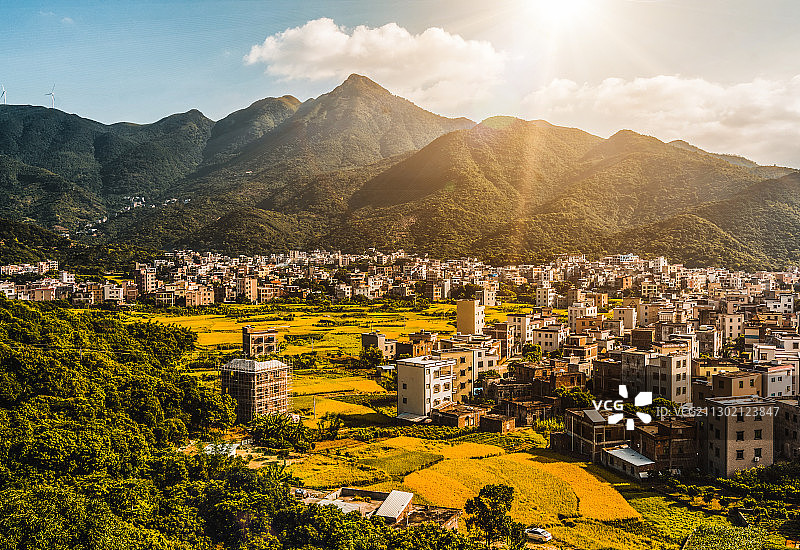 故乡的稻田黄了图片素材