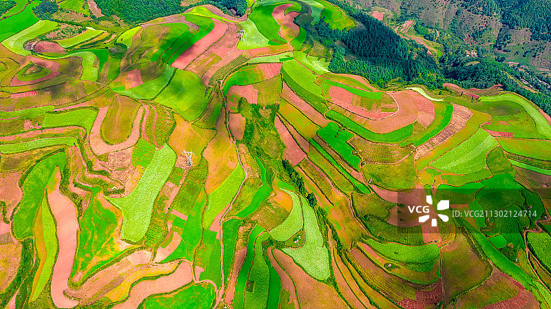 秋季的中国云南 昆明东川红土地图片素材