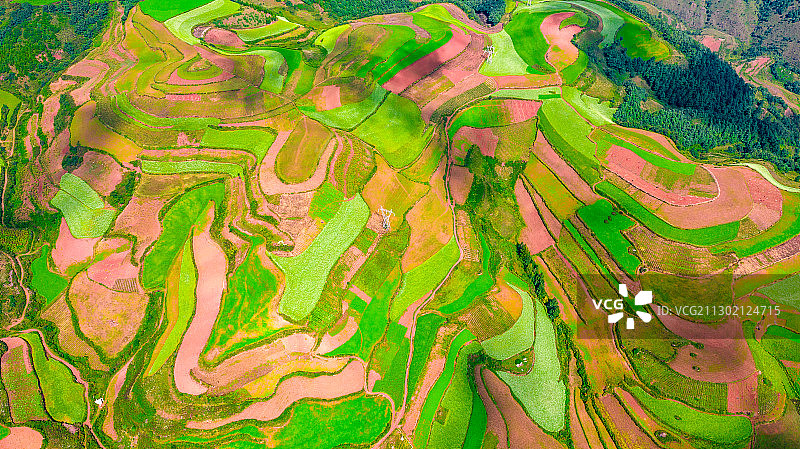 秋季的中国云南 昆明东川红土地图片素材