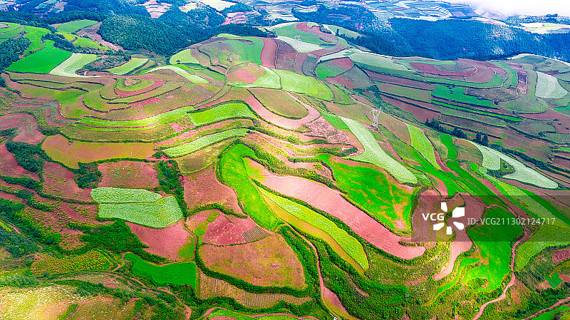 秋季的中国云南 昆明东川红土地图片素材