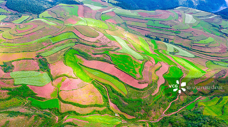 秋季的中国云南 昆明东川红土地图片素材