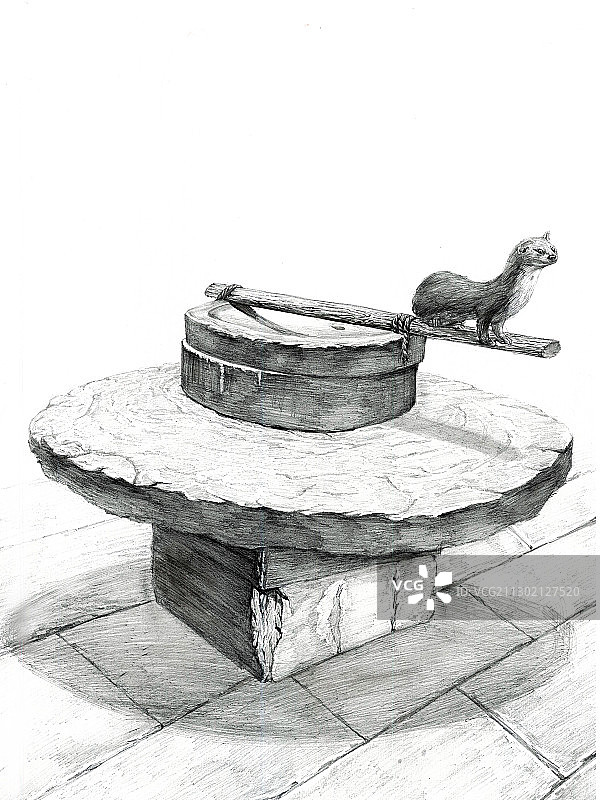 城市中的动物图片素材