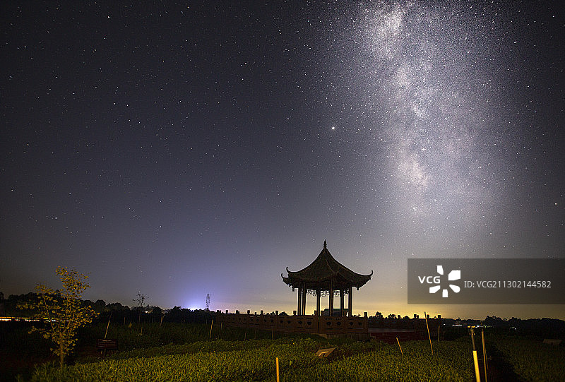 茶园之夜＋宜宾市翠屏区金秋湖镇图片素材