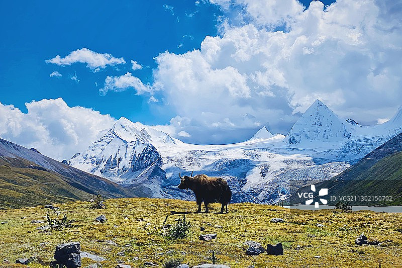 萨普神山图片素材