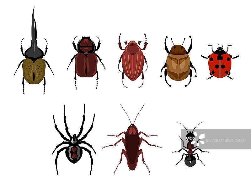 可爱卡通昆虫爬行套装图片素材