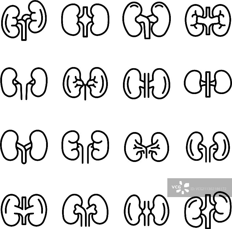 肾脏图标轮廓样式合集图片素材