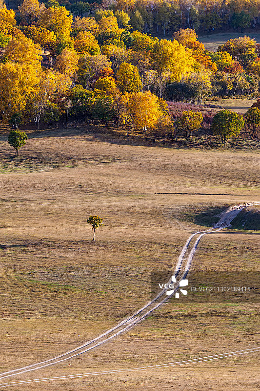 内蒙古乌兰布统东沟秋色，像上帝打翻了调色盘，五彩缤纷。图片素材