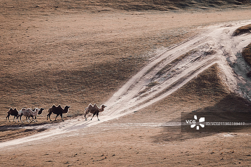 内蒙古乌兰布统东沟秋色，像上帝打翻了调色盘，五彩缤纷。图片素材