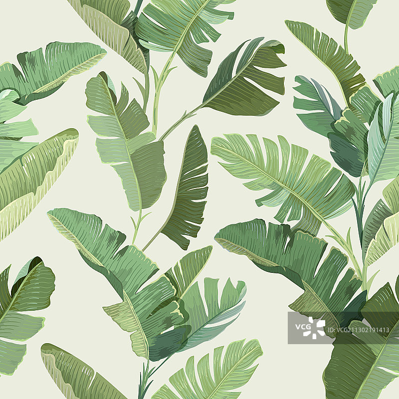 具有异国情调绿色的无缝热带花卉印花图片素材