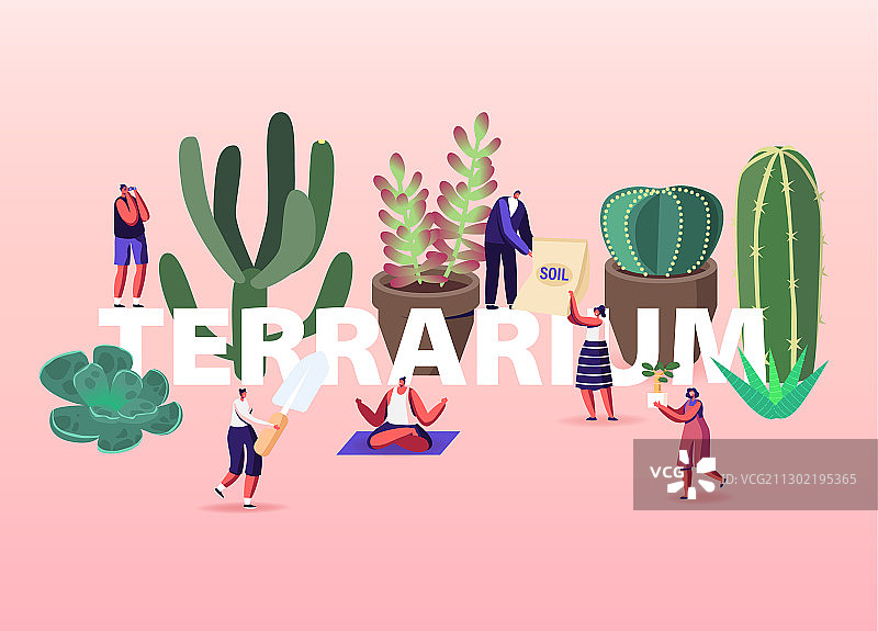 生态玻璃容器植物生长概念图片素材