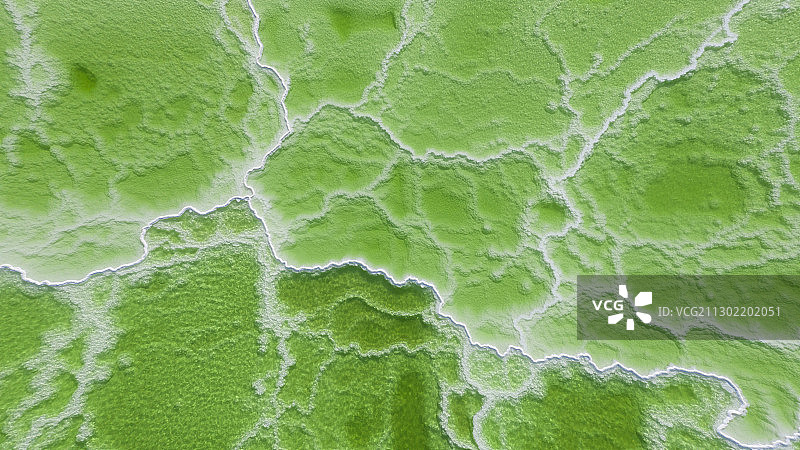 察尔汗盐湖的肌理图片素材