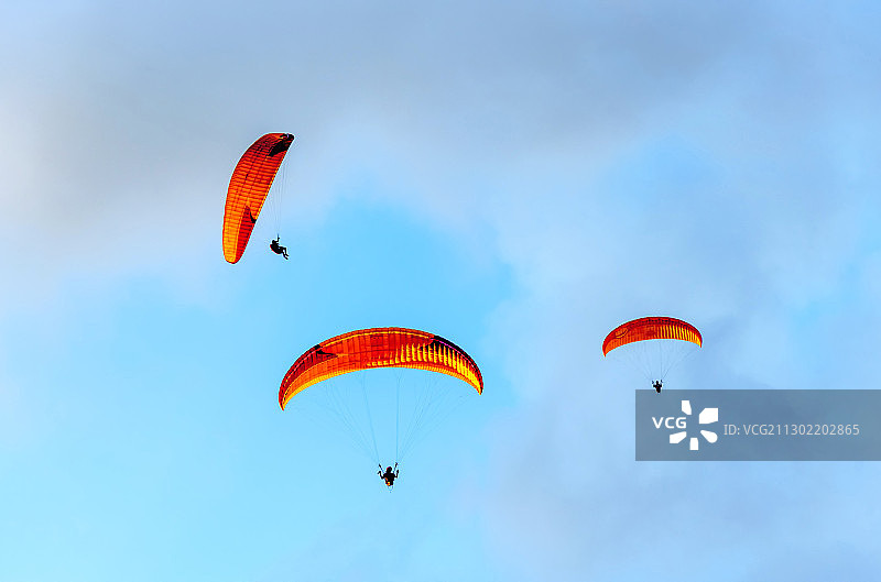 仰拍以蓝天为背景的跳伞运动图片素材