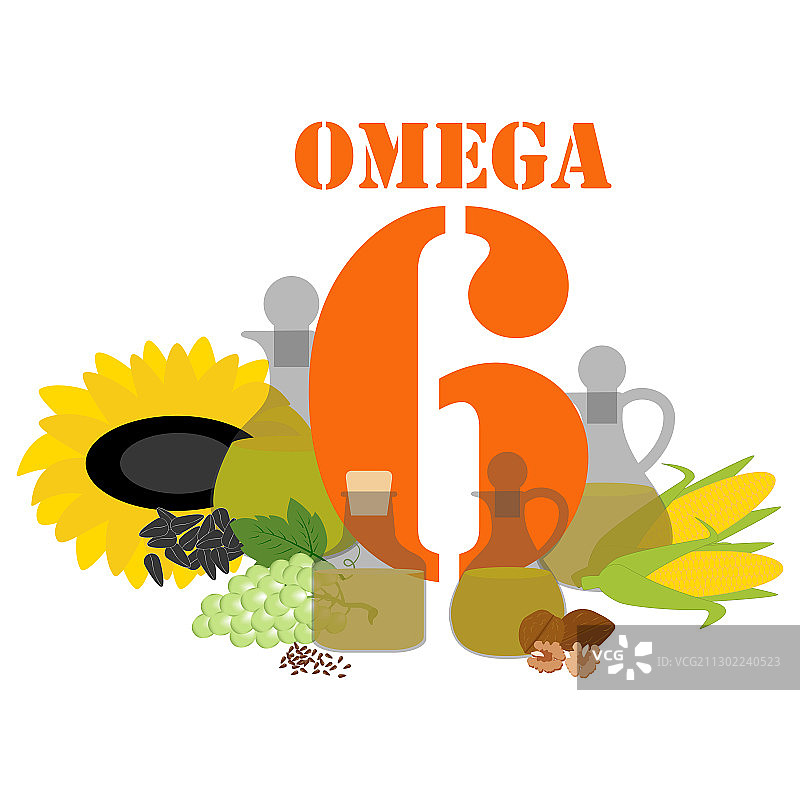 富含欧米伽6健康营养的食物图片素材