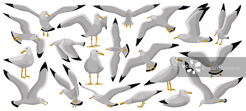 海鸥卡通图标合集图片素材