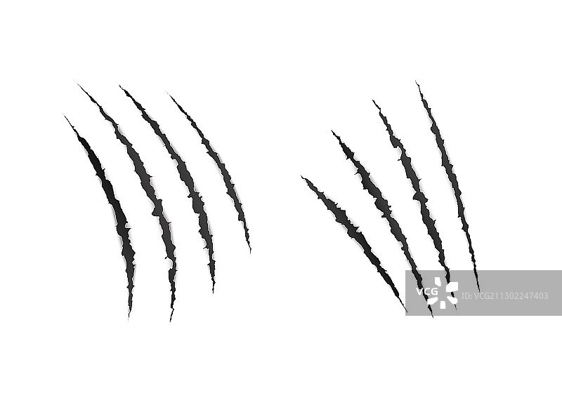野生动物爪子的可怕抓痕图片素材