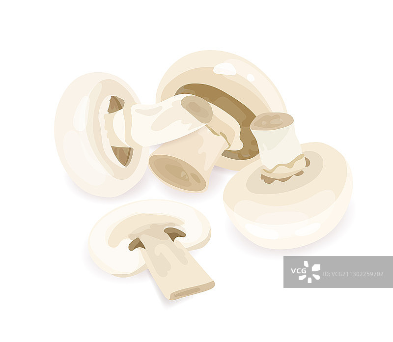 诱人的食用生蘑菇组合图片素材