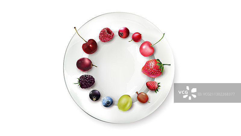 静物：浆果排列成一个圆图片素材