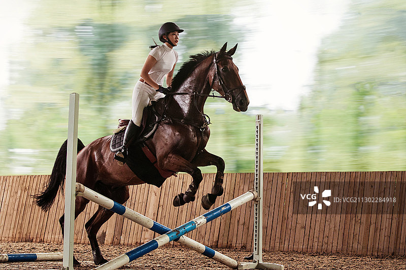 骑马跳障碍栏的年轻女子图片素材